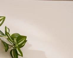 Meuble House Table basse forme organique en micro-ciment teinté crème 