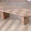 Meuble House Table de salon rectangle en manguier design épuré "Orobie" Best